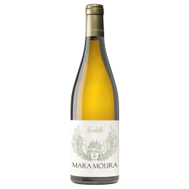 Mara Moura Godello