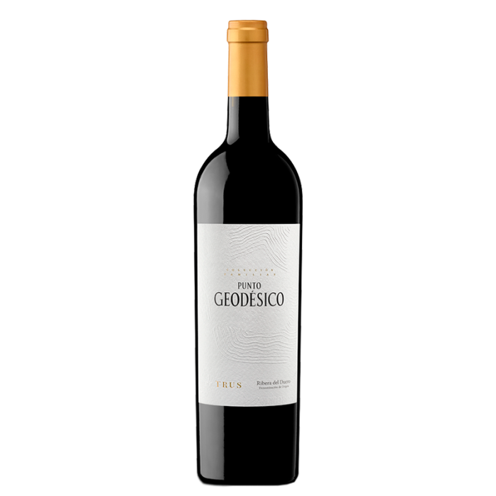 Punto Geodésico
