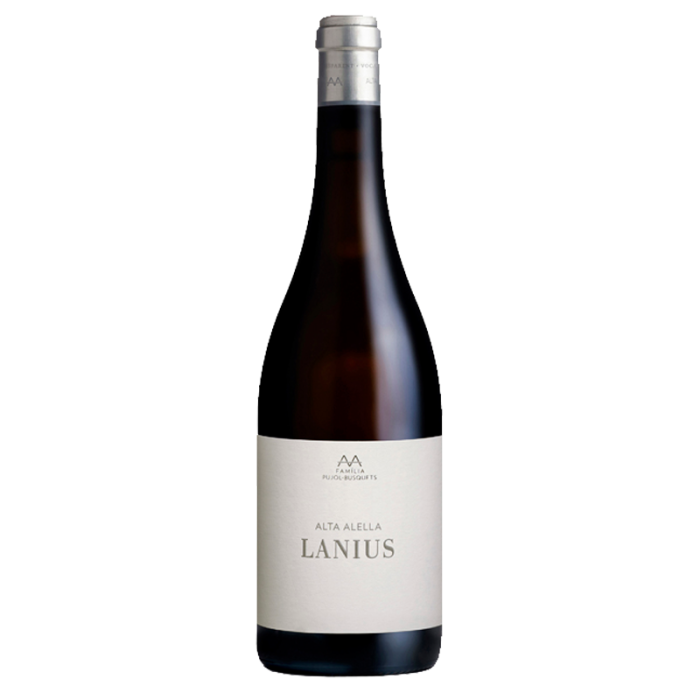 AA Lanius